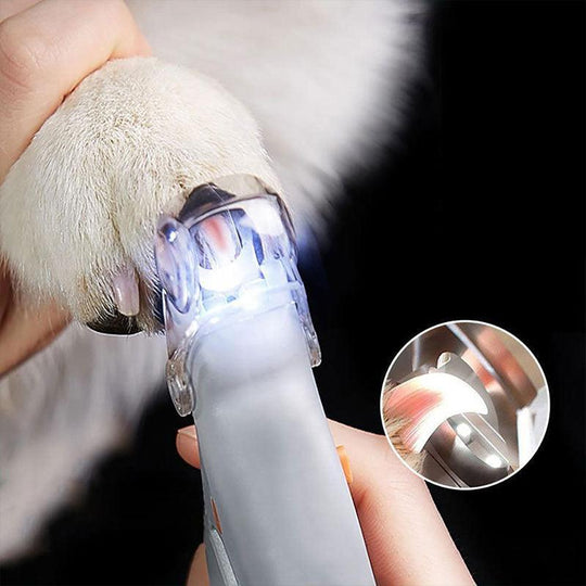 Coupe Ongles Pour Chiens Avec Capteurs De Vitesse Pour Couper Griffe Chien 1