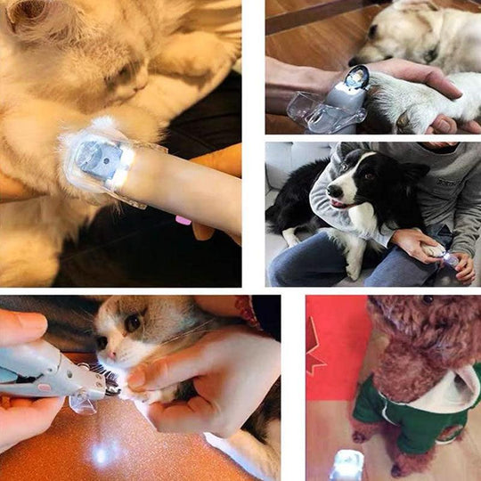 Coupe Ongles Pour Chiens Avec Capteurs De Vitesse Pour Couper Griffe Chien 2