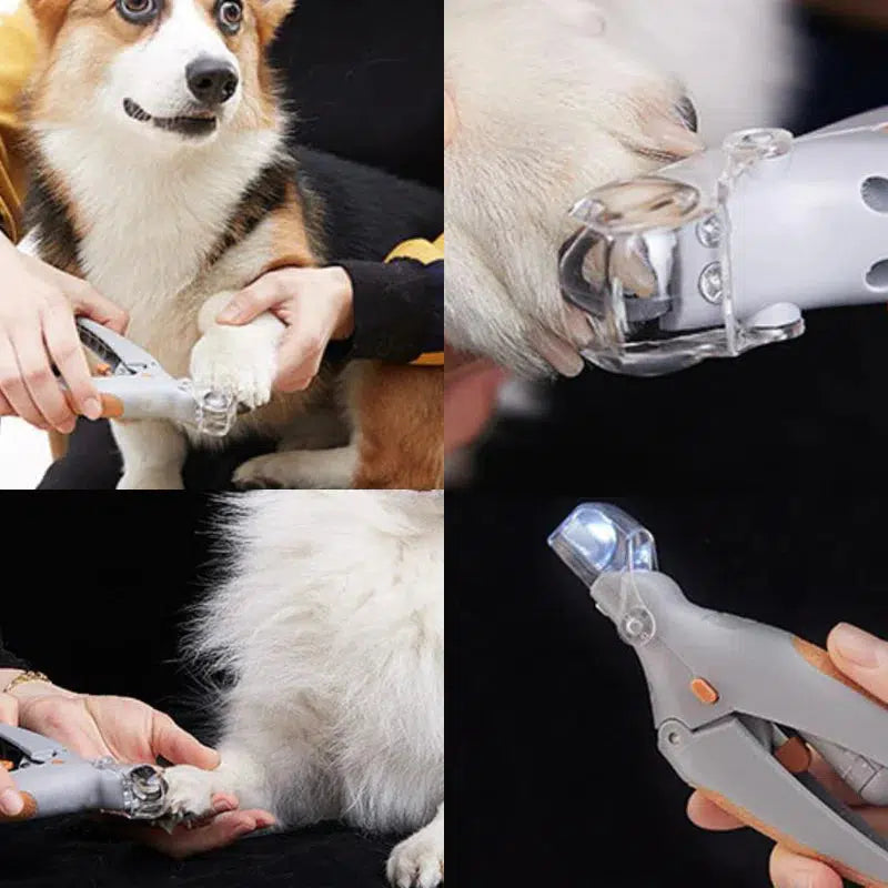 Coupe Ongles Pour Chiens Avec Capteurs De Vitesse Pour Couper Griffe Chien 4
