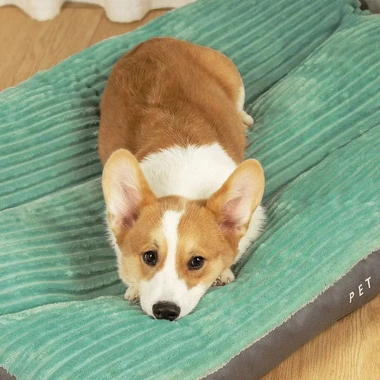 Coussin Pour Chien Amovible Avec Bords Surélevés Antidérapant 3