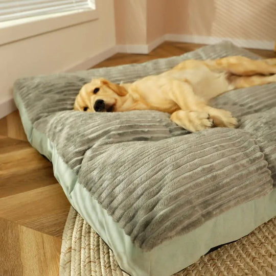 Coussin Pour Chien Amovible Avec Bords Surélevés Antidérapant 4