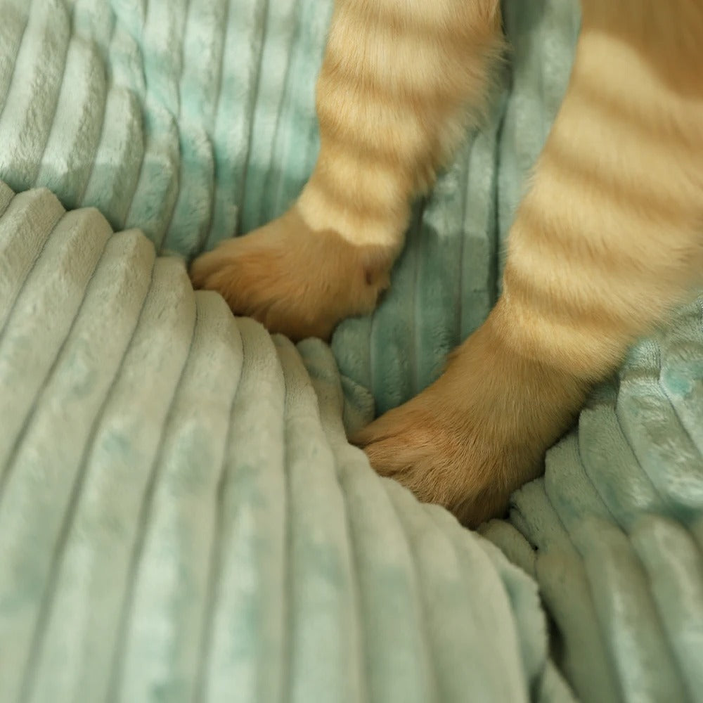 Coussin Pour Chien Amovible Avec Bords Surélevés Antidérapant 6