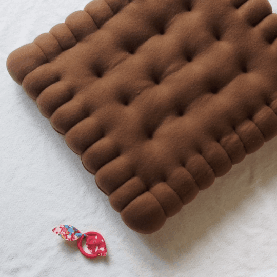 Coussin de Luxe Charme Biscuit 2