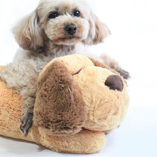CuddlePup Peluche pour Chiens avec Battement de Coeur 3