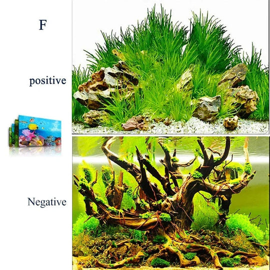 Décoration Aquarium Fond 3D Réversible pour un Décor Sous-Marin Captivant 0