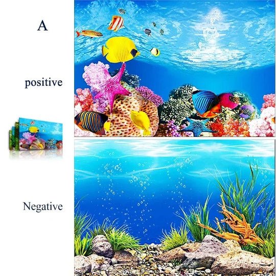 Décoration Aquarium Fond 3D Réversible pour un Décor Sous-Marin Captivant 6