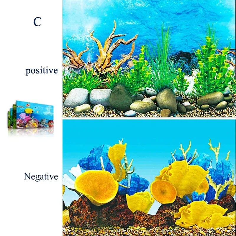 Décoration Aquarium Fond 3D Réversible pour un Décor Sous-Marin Captivant 8