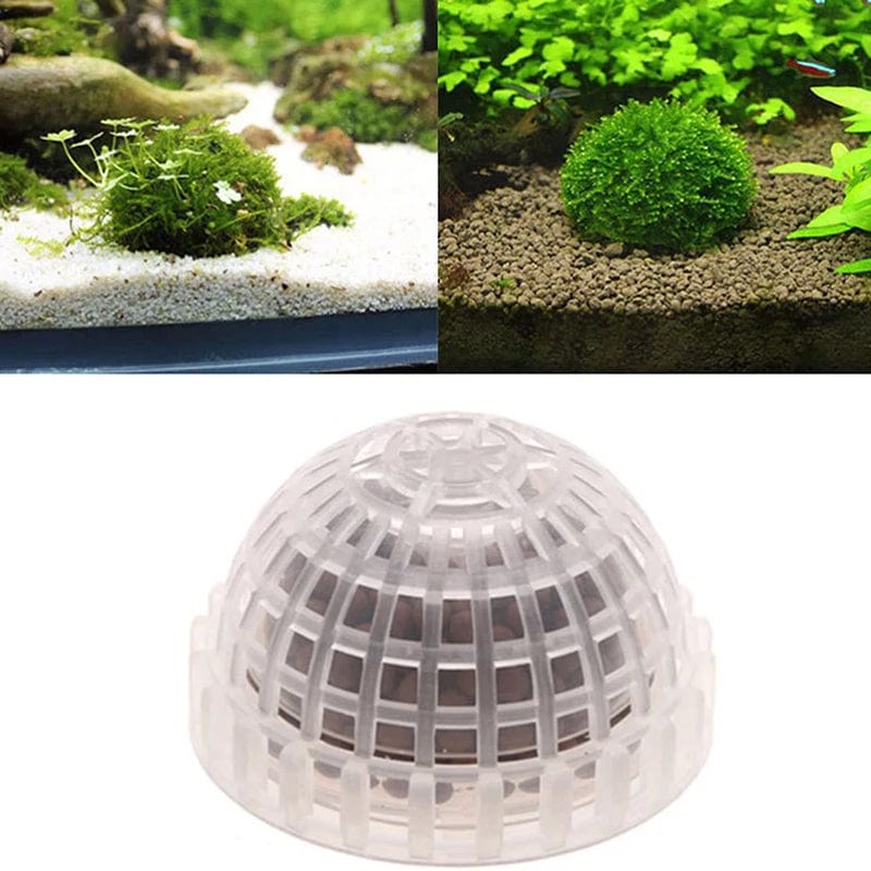 Décoration Aquarium Mousse Naturelle pour Aménagement Aquatique 0
