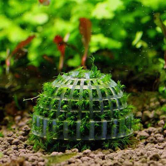 Décoration Aquarium Mousse Naturelle pour Aménagement Aquatique 1