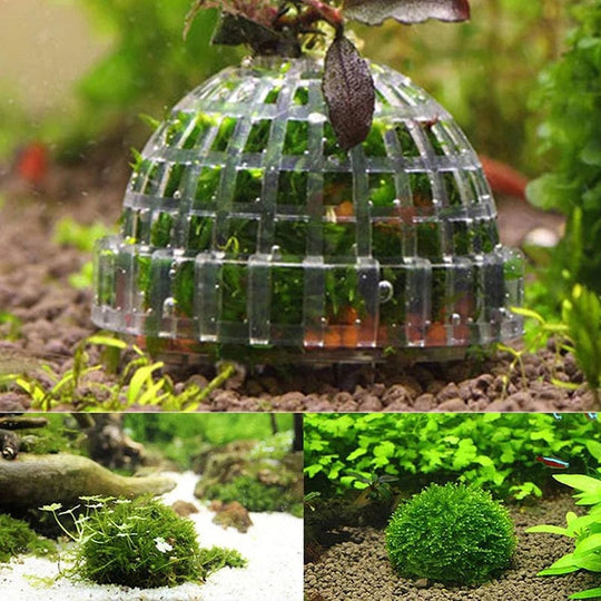 Décoration Aquarium Mousse Naturelle pour Aménagement Aquatique 2