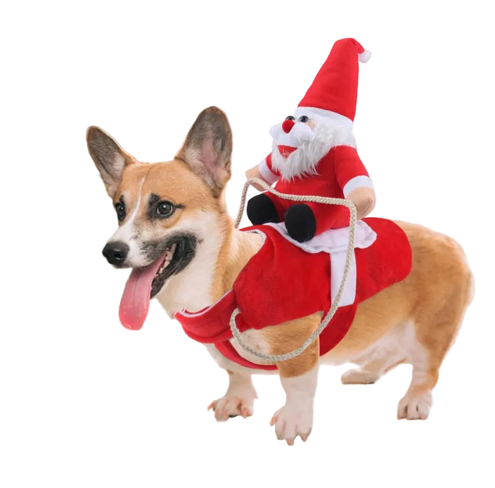 Déguisement Noël Chien Festif Avec Motifs Colorés 0