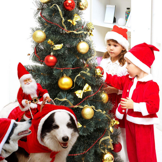 Déguisement Noël Chien Festif Avec Motifs Colorés 2