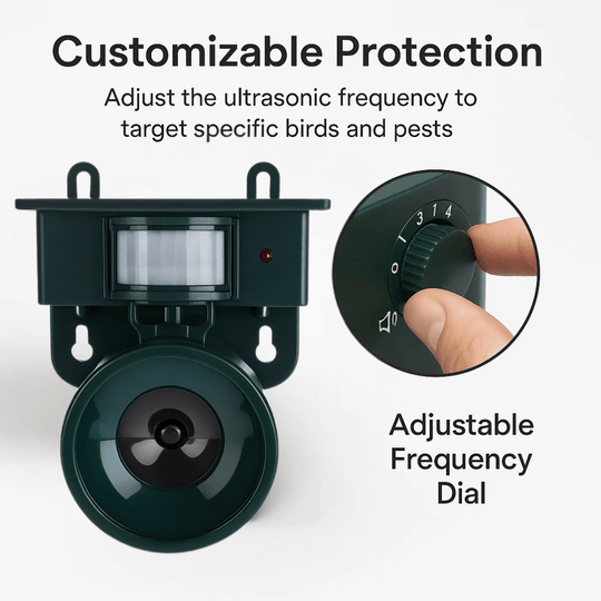 Dispositif de Protection Extérieure avec Détecteur de Mouvement 4