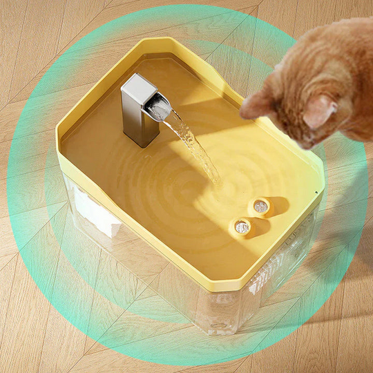 Distributeur d'Eau Automatique pour Animaux avec Filtration Intégrée 3