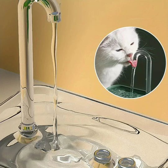 Distributeur d'Eau Automatique pour Animaux avec Filtre 1