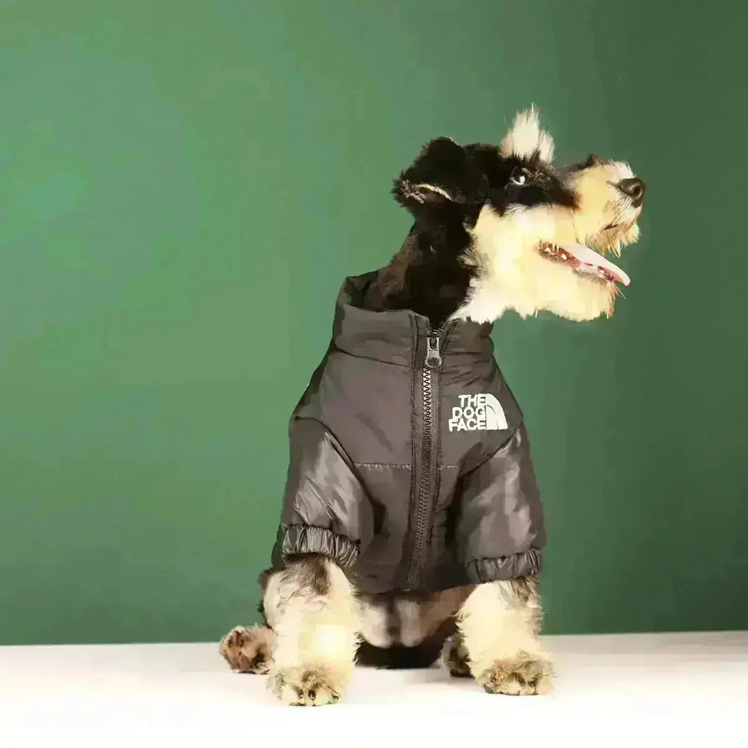 Doudoune Pour Chien Style Canine Face Chic 1