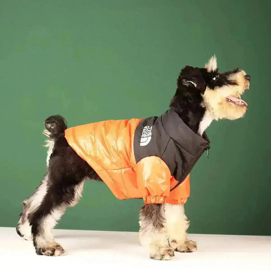 Doudoune Pour Chien Style Canine Face Chic 7