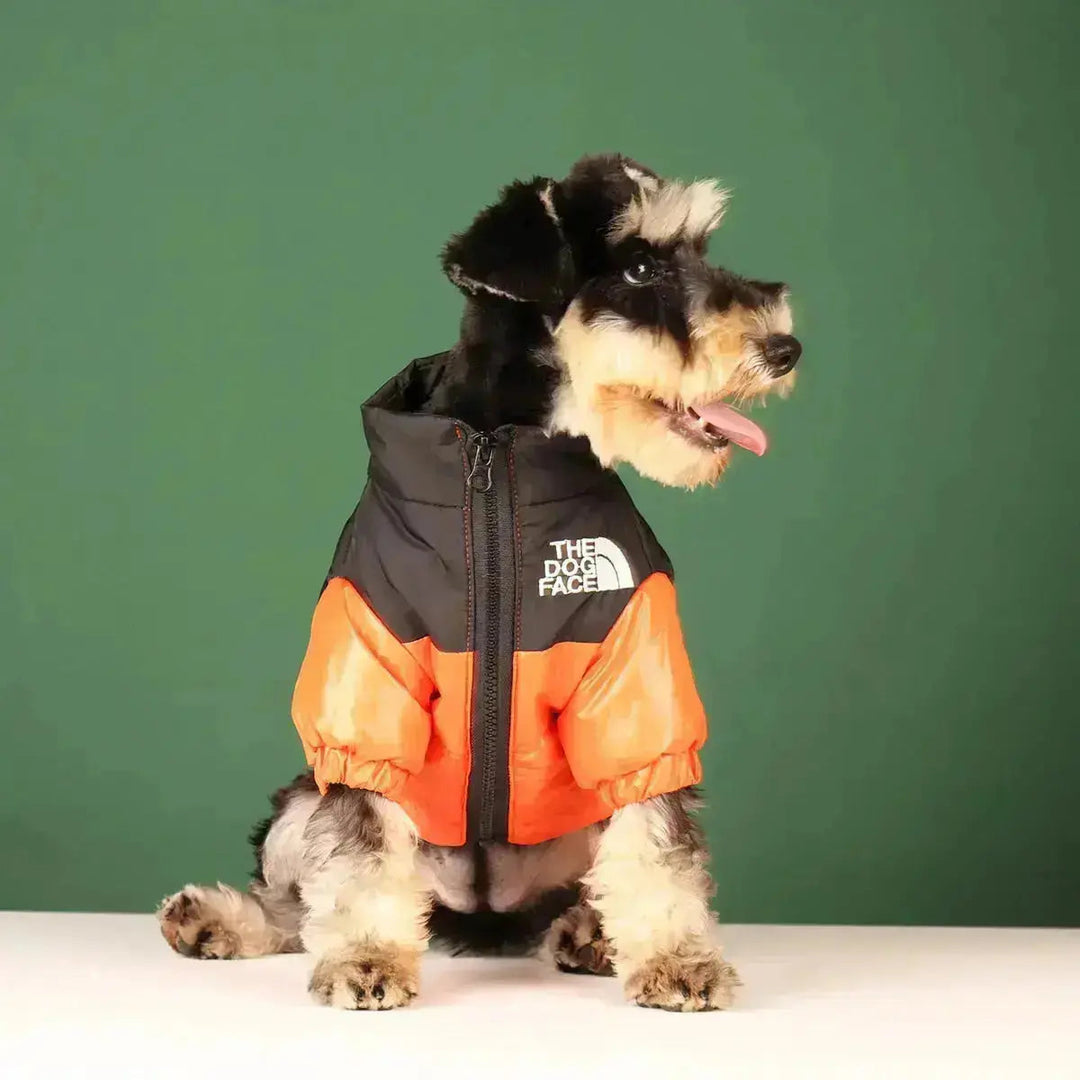 Doudoune Pour Chien Style Canine Face Chic 8