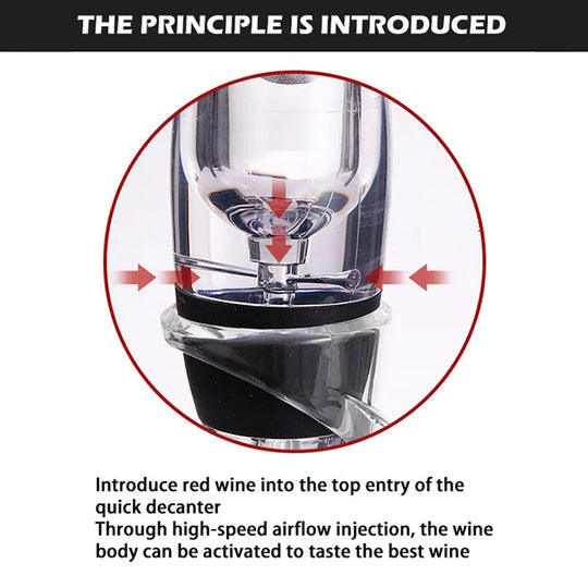 Ensemble Aérateur de Vin avec Carafe et Verseur pour Dégustation Optimale 2