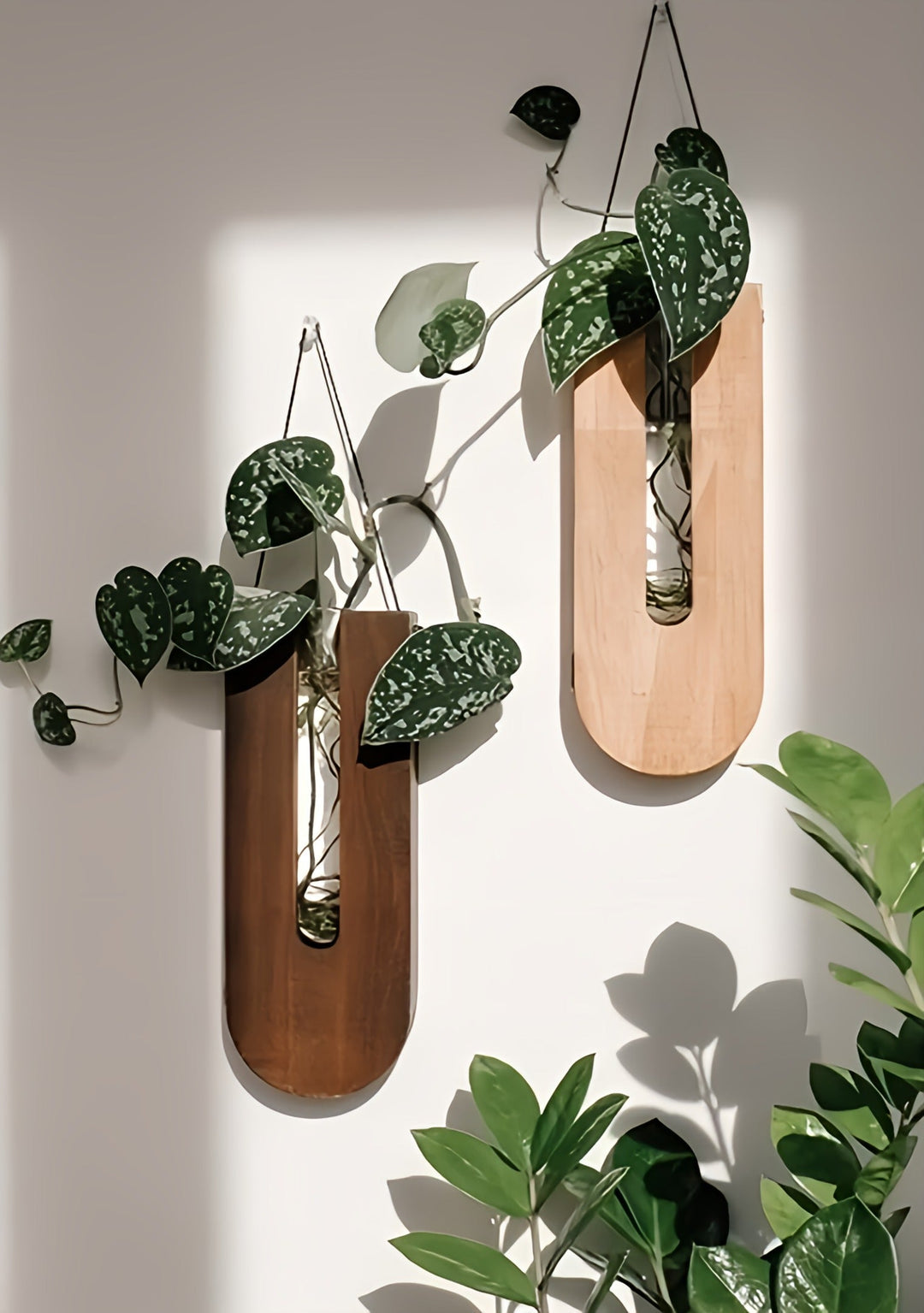 Ensemble de Fleurs Murales en Bois pour Plantes 2