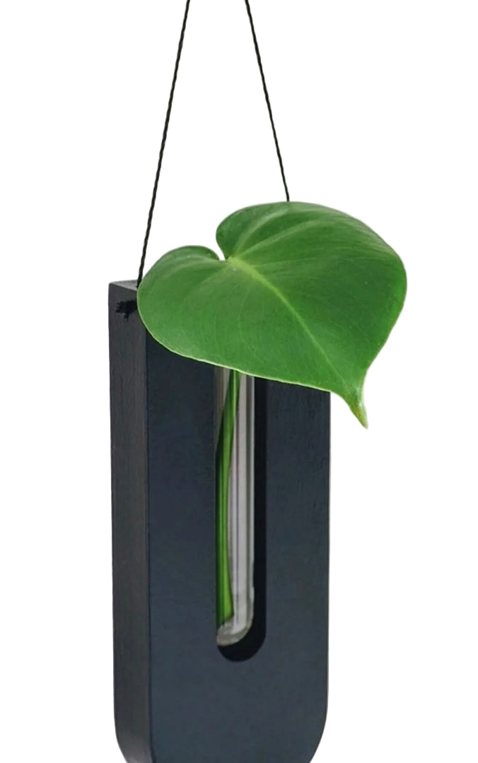 Ensemble de Fleurs Murales en Bois pour Plantes 3
