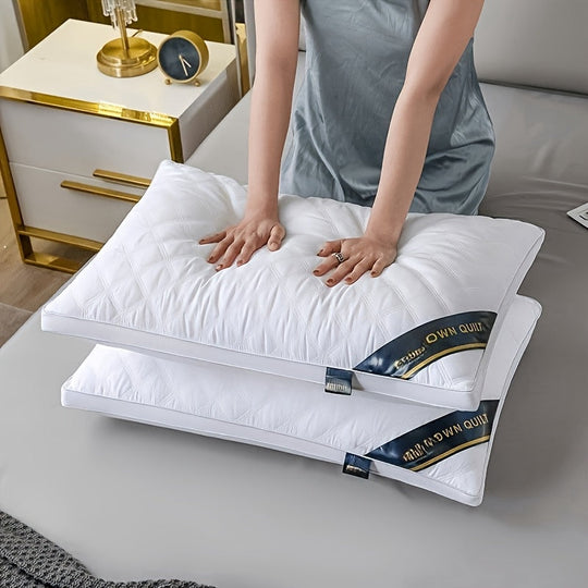 Ensemble de Meilleur Oreiller Confort Matelassé 3D, Respirant et Doux, Idéal pour Toutes les Saisons 3