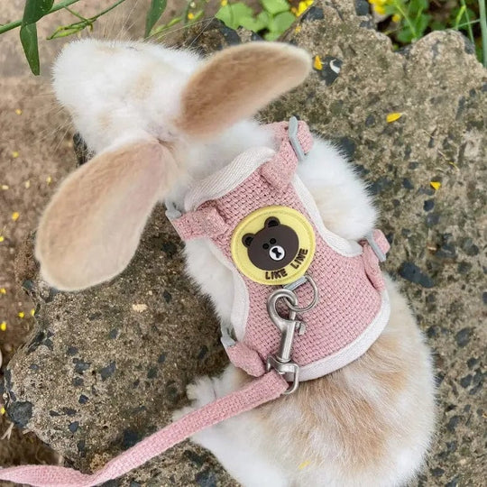 Ensemble de harnais pour petits animaux avec accessoires 1