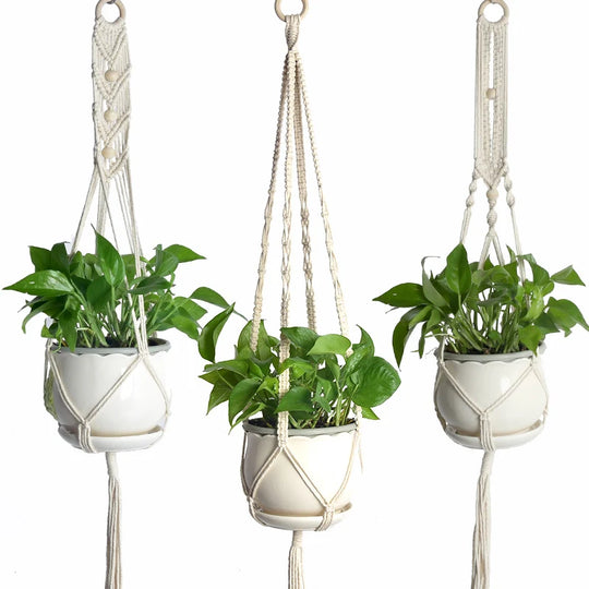 Ensemble de suspensions pour plantes macramé pour intérieur 0