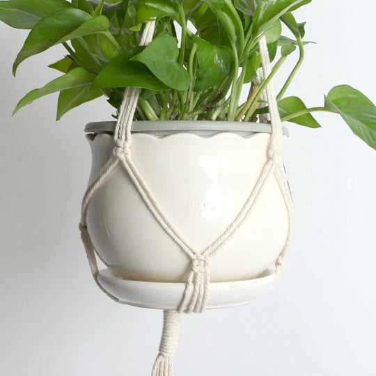 Ensemble de suspensions pour plantes macramé pour intérieur 1