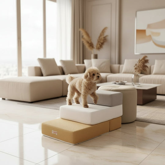 Escalier pour Chien DOGSTEP PRO Pratique et Design 1
