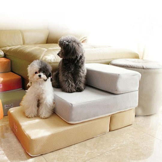 Escalier pour Chien DOGSTEP PRO Pratique et Design 2