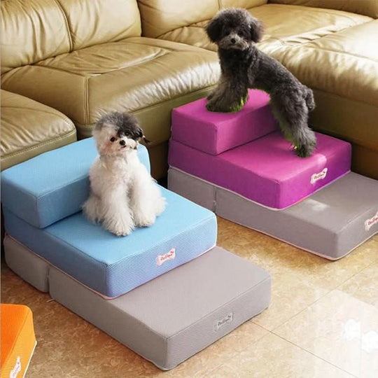 Escalier pour Chiens Pratique et Design 3
