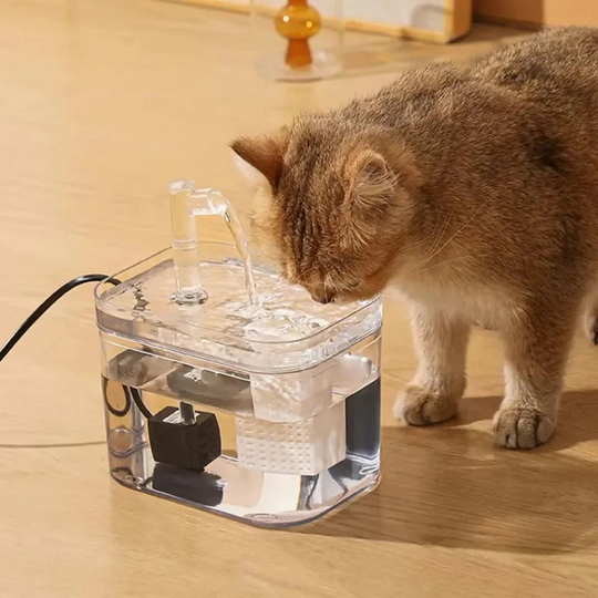 Fontaine à Eau Automatique pour Animaux de Compagnie Design Innovant 1