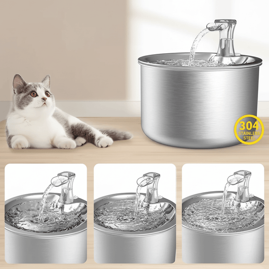 Fontaine à Eau pour Chats avec Filtration Avancée 1