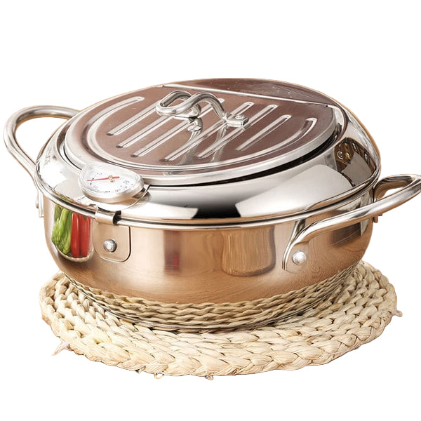 Friteuse Professionnelle en Acier Inoxydable avec Couvercle et Tamis 6