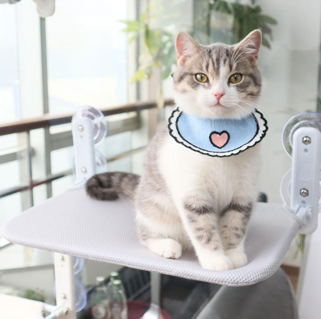 Hamac de fenêtre pour chat confortable 0