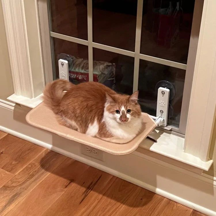 Hamac de fenêtre pour chat confortable 3
