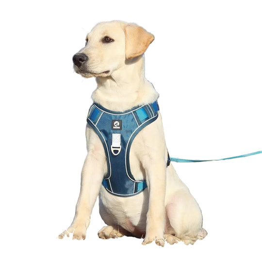 Harnais Chien Anti Traction Ergonomique Ajustable avec Bandes Réfléchissantes 0