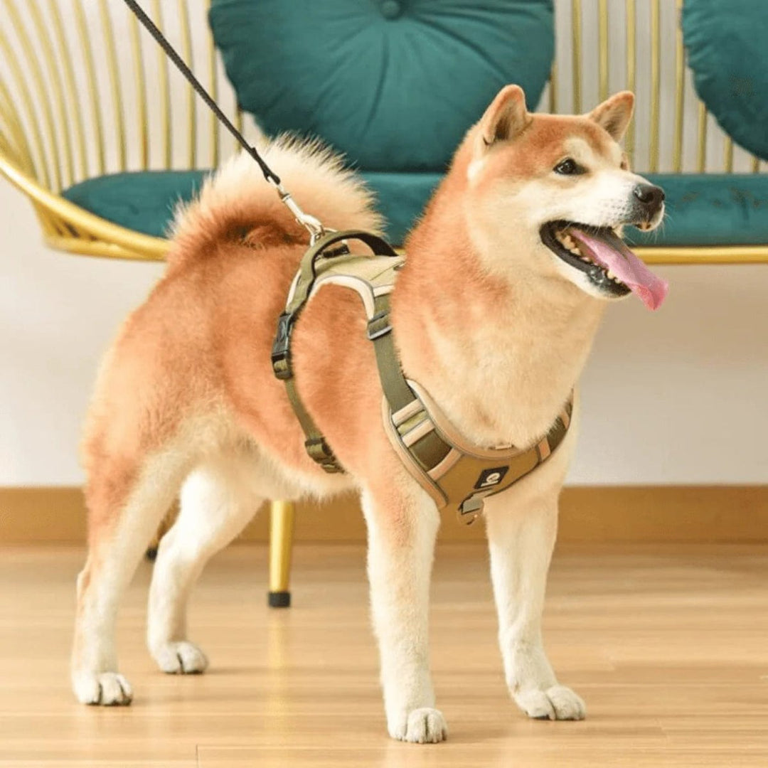 Harnais Chien Anti Traction Ergonomique Ajustable avec Bandes Réfléchissantes 4