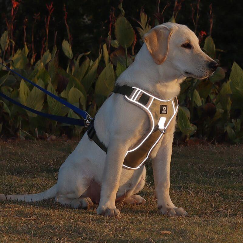 Harnais Chien Anti Traction Ergonomique Ajustable avec Bandes Réfléchissantes 5
