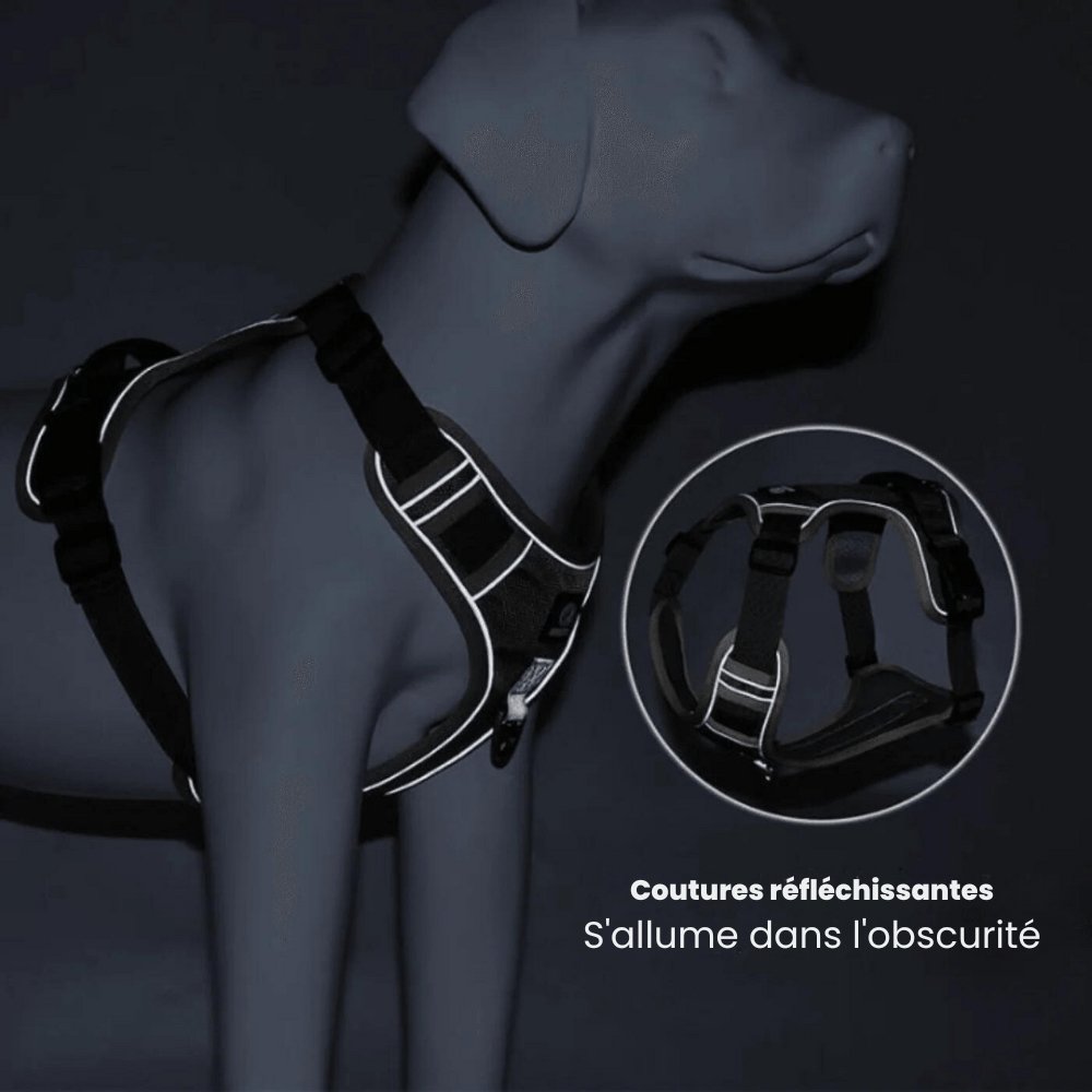 Harnais Chien Anti Traction Ergonomique Ajustable avec Bandes Réfléchissantes 6