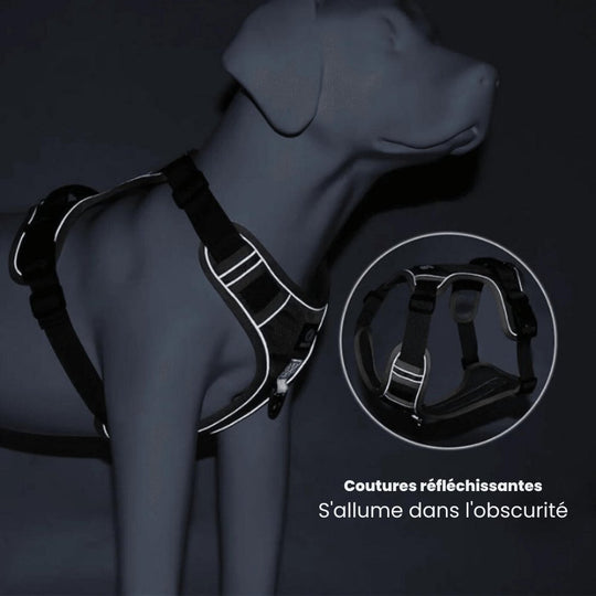 Harnais Chien Anti Traction Ergonomique Ajustable avec Bandes Réfléchissantes 6