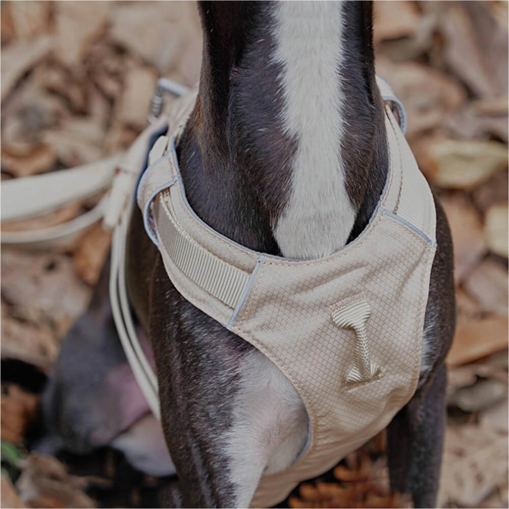 Harnais Chien Anti Traction avec Laisse Multifonctionnelle pour Promenades Confortables 7