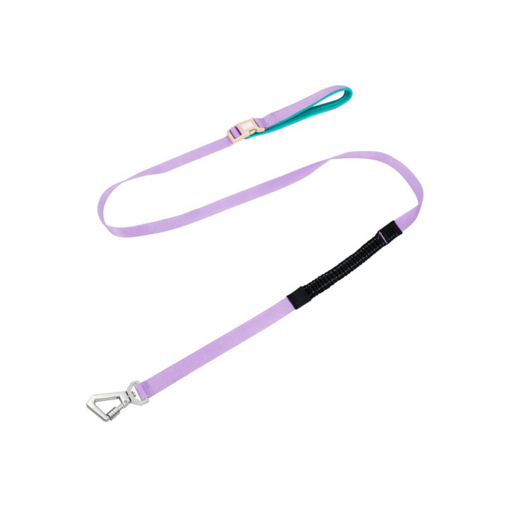 Harnais Chien Anti Traction avec Laisse Multifonctionnelle pour Promenades Confortables 9
