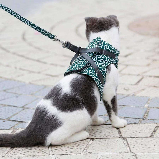 Harnais de Gilet pour Chat Confortable 3