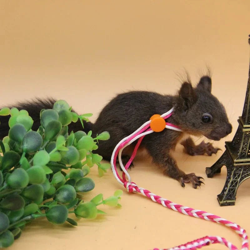 Harnais et Laisse Réglables pour Hamster 2