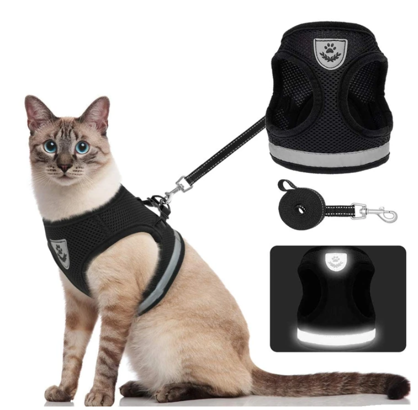 Harnais et Laisse pour Chat Anti Fugue Ajustable avec Design Sécurisé pour Promenades en Plein Air 0