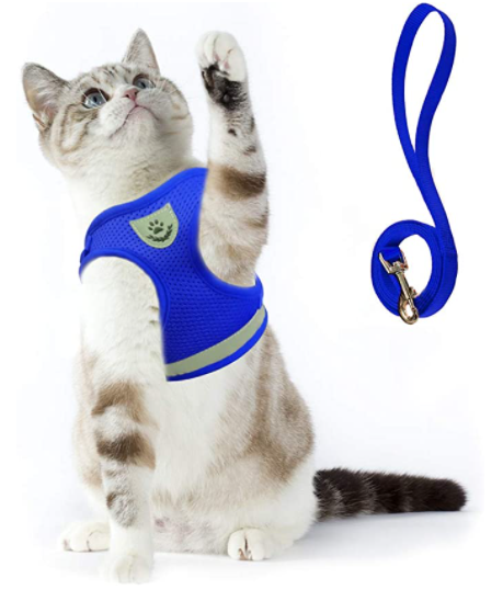 Harnais et Laisse pour Chat Anti Fugue Ajustable avec Design Sécurisé pour Promenades en Plein Air 10