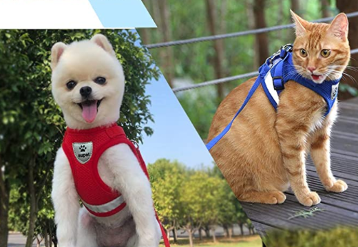 Harnais et Laisse pour Chat Anti Fugue Ajustable avec Design Sécurisé pour Promenades en Plein Air 2