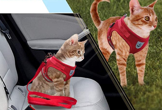 Harnais et Laisse pour Chat Anti Fugue Ajustable avec Design Sécurisé pour Promenades en Plein Air 3